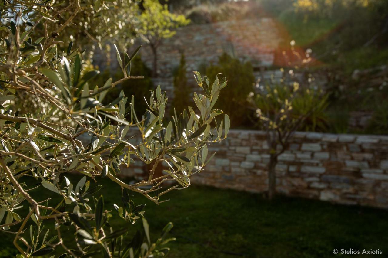 Apartment Aegean Panorama