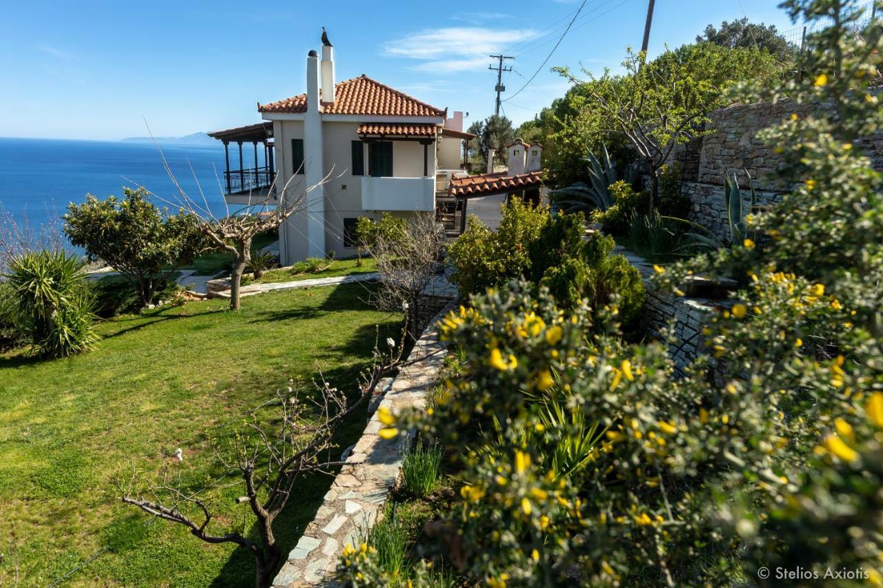 Aegean Panorama *