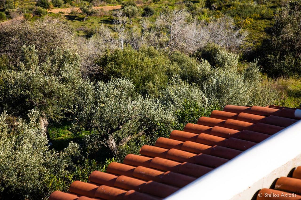Apartment Aegean Panorama Akhladheri
